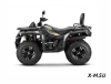 Квадроцикл AODES Pathcross ATV300L 2026