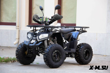 Квадроцикл UNIVERSAL ATV 125 TM Fusion