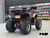 Квадроцикл PROMAX Майн Графт 192 PRO 2025