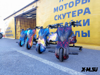 Электроскутер Дрифт Карт Drift-Trike Promax Mi101 космос