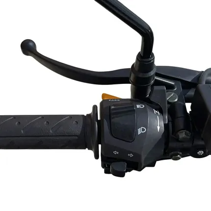 Мотоцикл MOTOLAND (МОТОЛЕНД) WASP 300